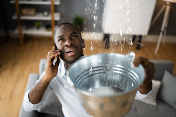 Best Water damage contractors near me  in Roseto, PA