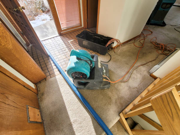 Best Local water damage restoration  in Roseto, PA
