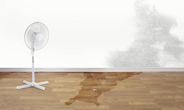Best Flood restoration services  in Roseto, PA
