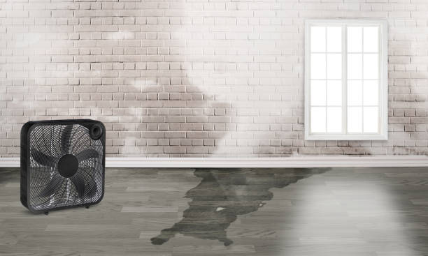 24/7 water damage repair in Roseto, PA