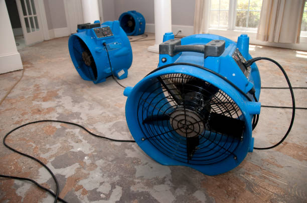 Best Residential water damage restoration  in Roseto, PA