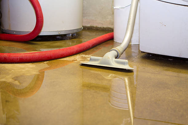 Reliable Roseto, PA Water damage restoration Solutions