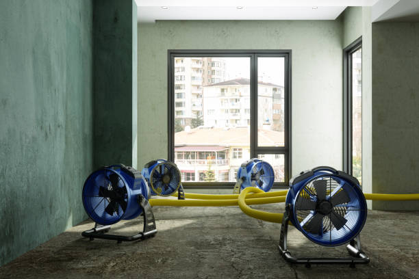 Best Flood restoration services  in Roseto, PA